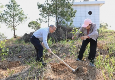 大力开展植树造林 全力争创国家森林城市 朱少辉、丘炀率队参加义务植树活动