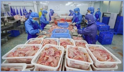 “预制菜十条”新鲜出炉！广东致力打造全国乃至全球预制菜产业高地