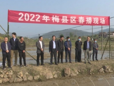 梅县区：把握农时全力抓好春季农业生产
