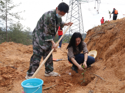 播下一株株“绿色希望”！这场志愿活动在梅江区长沙镇开展...