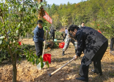 蕉岭县领导带头参加义务植树活动 掀起全民植绿添绿爱绿护绿热潮