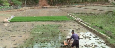 大埔县光德镇全力推进撂荒地复耕复垦和春耕生产工作