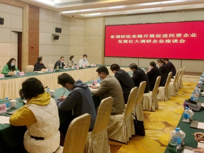 全国政协委员黄先耀率队来梅调研：合力推动民营企业高质量发展