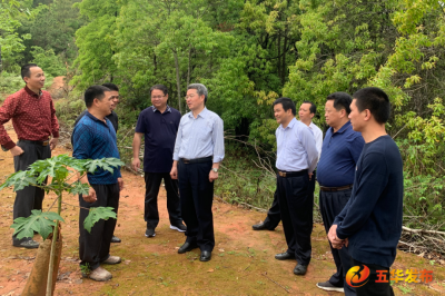 朱少辉到五华华城镇检查地质灾害防范及撂荒水田复耕复种工作