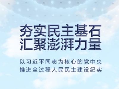夯实民主基石 汇聚澎湃力量——以习近平同志为核心的党中央推进全过程人民民主建设纪实