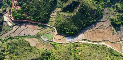 特色产业田间起！五华用“新点子”推进撂荒地复耕复垦