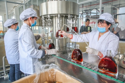 预计两年内产值超5000万元！梅州综保区企业博捷酒业今日试产