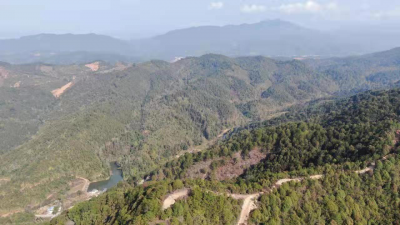 为保种植毒品植株零发案，制毒制假无处藏身，蕉岭用上了无人机！