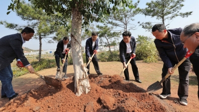 为梅州添绿！马正勇王晖戚优华王庆利等参加义务植树活动