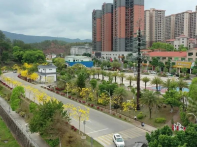 平远：精致小城迎来了浪漫春天
