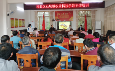 如何“对付”柑橘小实蝇？梅县区石坑镇举行防治奈李虫害培训班