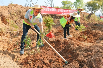 多一片绿色 多一份温馨！团梅江区委组织开展义务植树活动  