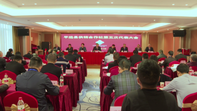 平远县供销合作社召开第五次代表大会 选举产生新一届理事会领导班子