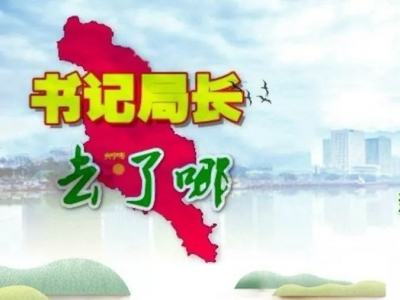 兴宁各镇党委书记、各局局长上周在忙什么？
