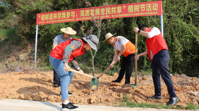 植树季，披新绿！梅江区西阳镇今日为大地增添“一抹生机与活力”