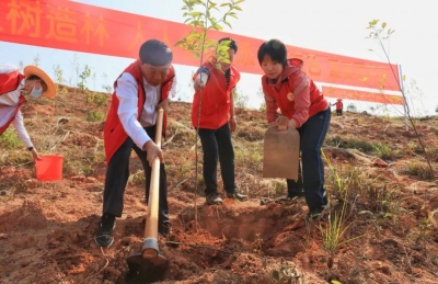 增绿添彩！兴宁市领导带头参加义务植树活动