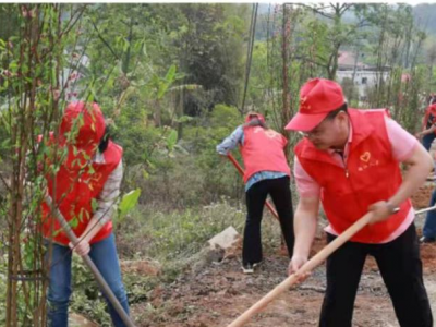 梅江区组织人大代表开展义务植树