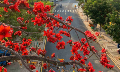 春分时节，梅州天气有些“小任性”！  