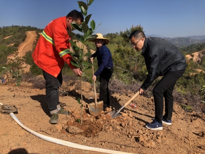 防火植绿两不误 不负三月好春光！五华华阳镇开展森林防火隔离带阔叶林木植树行动 