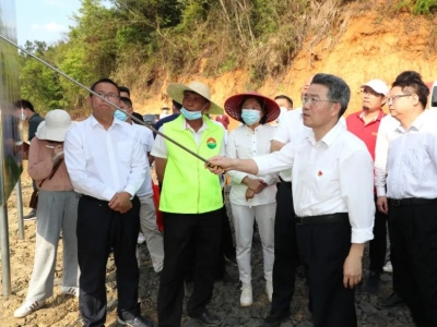 朱少辉到岐岭镇调研乡村振兴、实体经济等工作