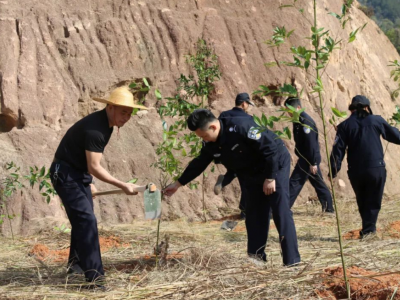 春回大地“警”色美！一起来看大埔“警察蜀黍植树记”→