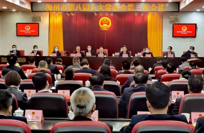 市八届人大常委会举行第三次会议，集中任命新一届市政府组成人员