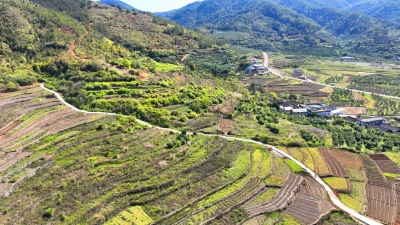 干群齐心美家园！蕉岭县蓝坊镇高思村干群合力修路再现壮丽梯田景观