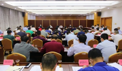推动绿色发展！兴宁着力从三方面落实林长制