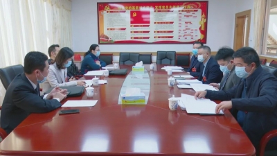 梅县区代表、委员热议政府工作报告：踔厉奋发担使命 笃行不怠向未来