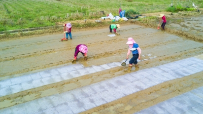 让“沉睡”的土地“活”起来！梅江区奏响生机勃勃“进行曲”