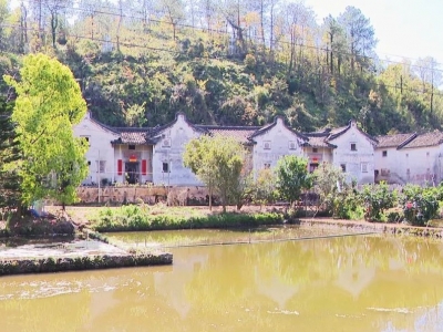 ​温助民率队调研古村落保护利用工作：坚持塑形铸魂 让古村落活起来