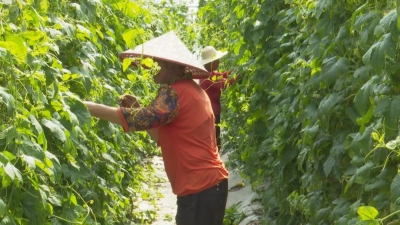 春回大地万物苏，梅县区春耕春管正当时！