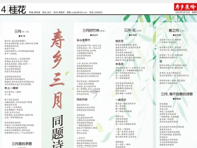 寿乡蕉岭·桂花