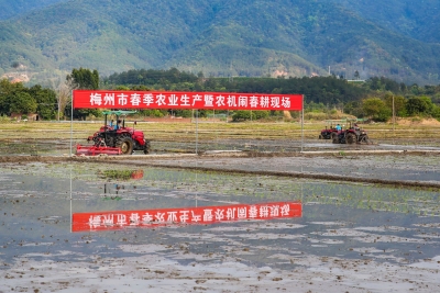 全市春季农业生产暨农机闹春耕现场会召开：牢记粮食安全这个“国之大者”  确保播种面积和产量只增不减