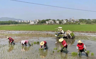 春耕备耕正当时！兴宁宁新街道召开春耕生产暨撂荒耕地复耕复种工作现场会