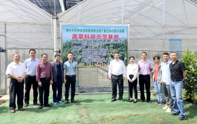 农企与农科专家成功牵手！这个蔬菜科研示范基地未来更有“奔头”！