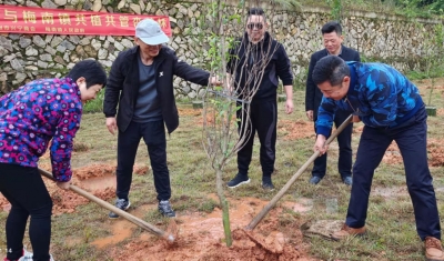 种下一片“杏花林”！梅州市兴宁商会开展植树造林活动