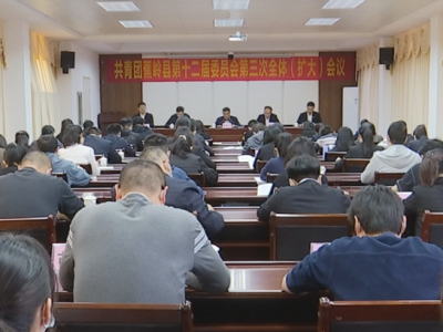 共青团蕉岭县第十二届委员会第三次全体（扩大）会议召开