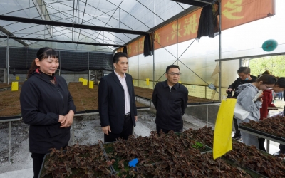 《梅州日报》“乡村振兴采风行”第三站走进梅县区雁洋镇