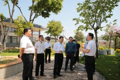 市政协调研组到大埔调研乡村振兴和文化旅游等工作