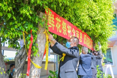 又是一年清明时，春风落日寄哀思…梅州人这样缅怀先人和英烈→