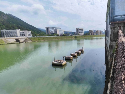 大量黑色污水直排梅潭河！大埔县相关部门出手了...