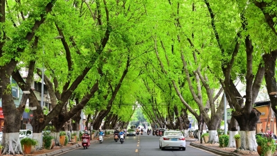 树木吐新绿，小城春意浓！
