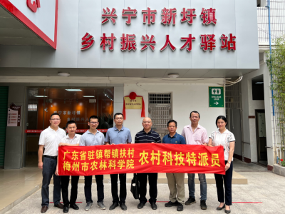 筑巢引凤，汇聚英才！兴宁市新圩镇乡村振兴人才驿站正式揭牌