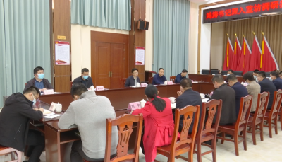 刘鸿涛到蓝坊镇调研：党建引领谋发展 产业支撑促振兴