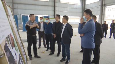 肇庆广宁县一行到蕉岭考察毛竹产业发展情况