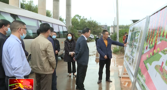 洪国华到兴宁水口镇开展农村综合改革专题调研