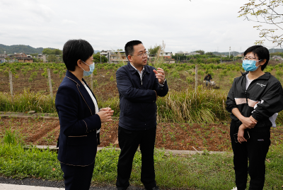 陈金銮、钟秀堂调研农村综合改革和春耕备耕、撂荒耕地复耕复种工作 