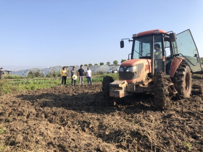 兴宁市委巡察助推撂荒耕地复耕复种