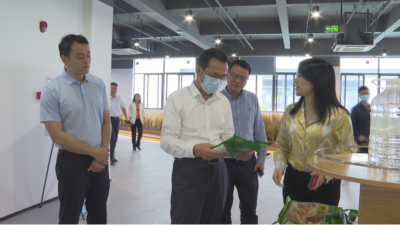 陈俊光来蕉调研林业工作：大力发展绿色富民产业 实现美丽与发展共赢